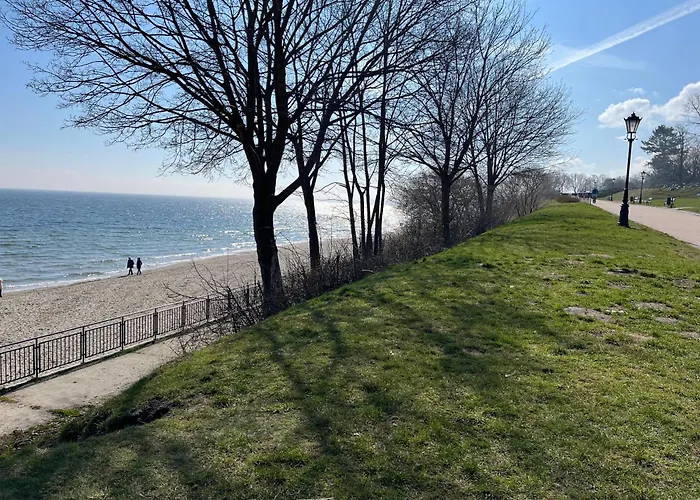 Totu Orlowska גדינייה