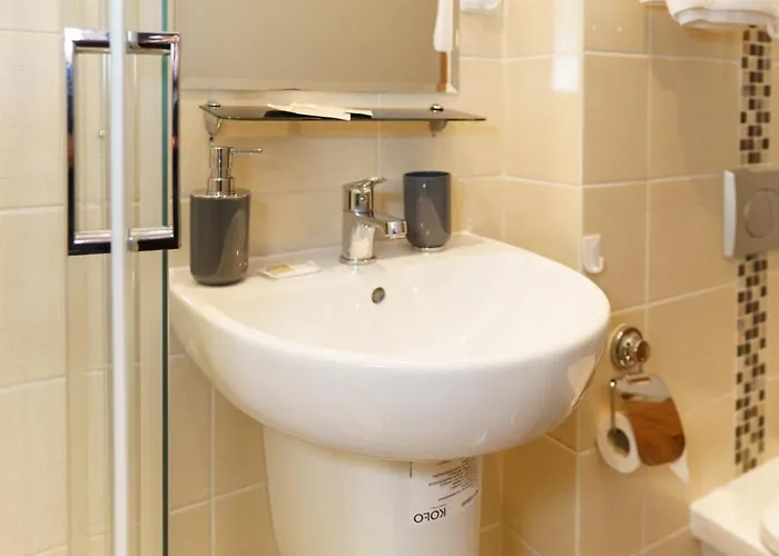 בית הארחה Totu Orlowska 3*