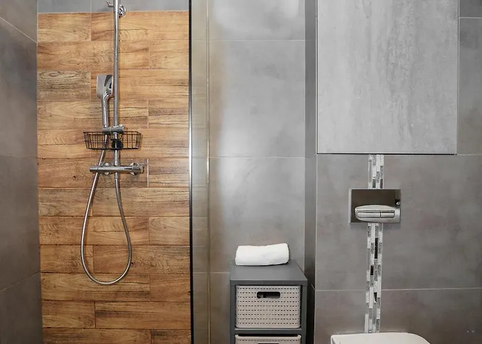 בית הארחה Totu Orlowska 3*