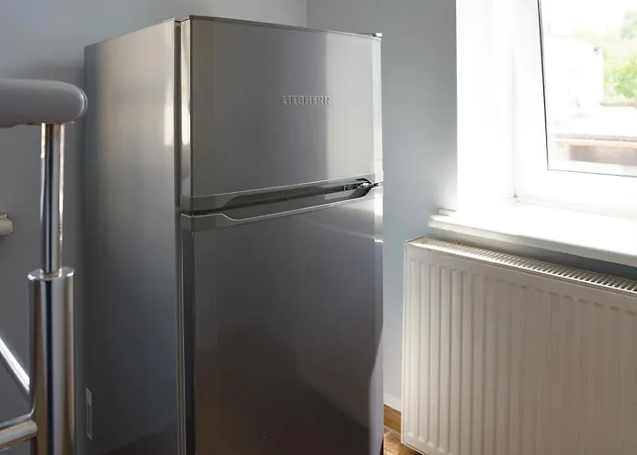 Totu Orlowska גדינייה