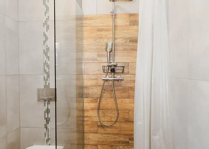 בית הארחה Totu Orlowska 3*